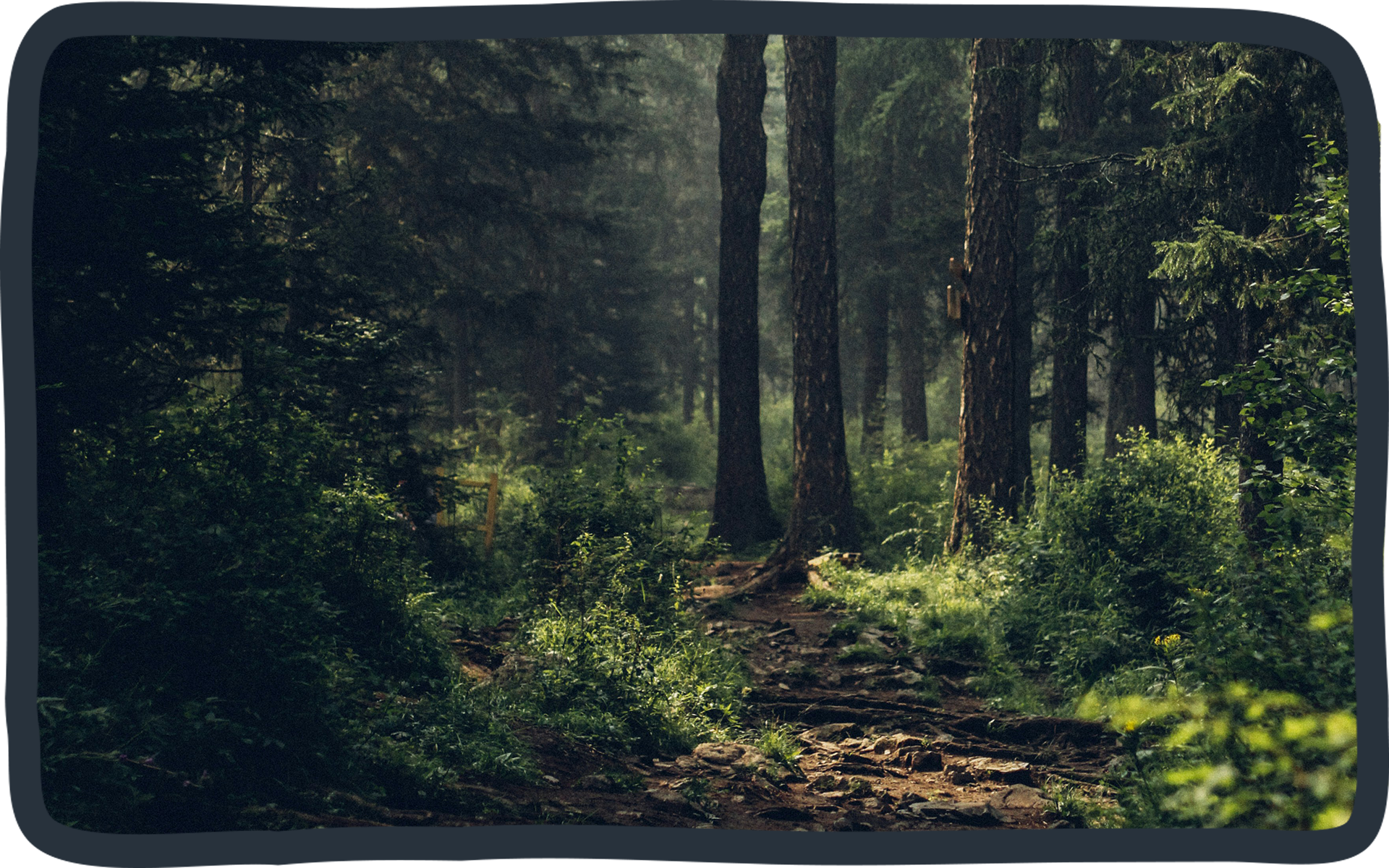 thumbnail Blogartikel